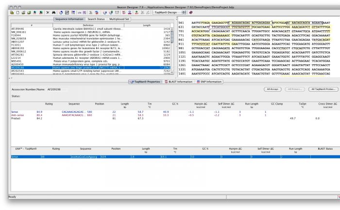 Beacon Designer For Mac 8.14