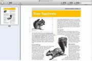 DjVuReader For Mac 1.4.3