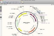 SnapGene For Mac 3.0.1