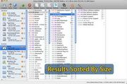 WhatSize For Mac 6.4.1