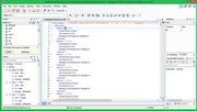 oXygen XML Developer For OS X 10.8 and later 17.1