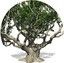 Tree 1.7.7 Build 1091