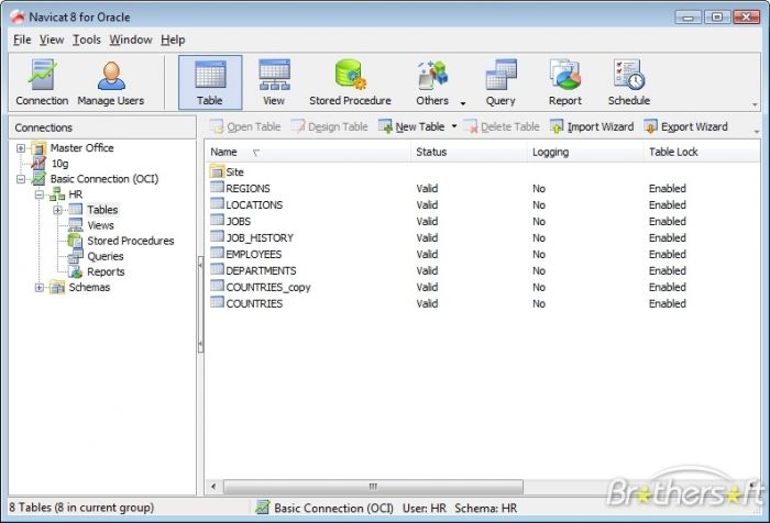 Navicat Oracle Lite 9.0.1