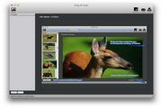Drag-N-Scale for MAC 2.6