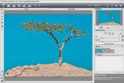 AKVIS SmartMask Plugin For Mac 7.0