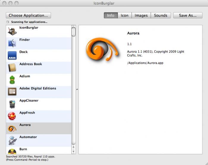 IconBurglar 1.1