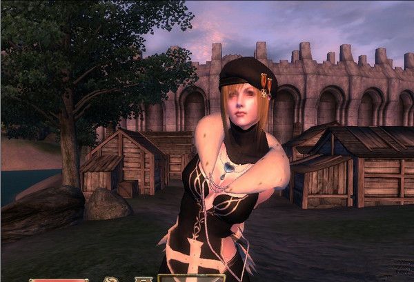 上古卷轴5Elder Scrolls V女主角声音替换MOD 5.0 www.qinpinchang.com