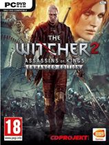 巫师2：刺客之王加强版 绿色版