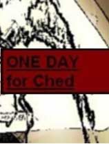 契德的日常 绿色版