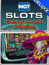 IGT游戏机：消防犬 绿色版