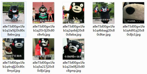 加油你是最胖的表情包 8p