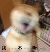 我不听我不听表情 高清全套