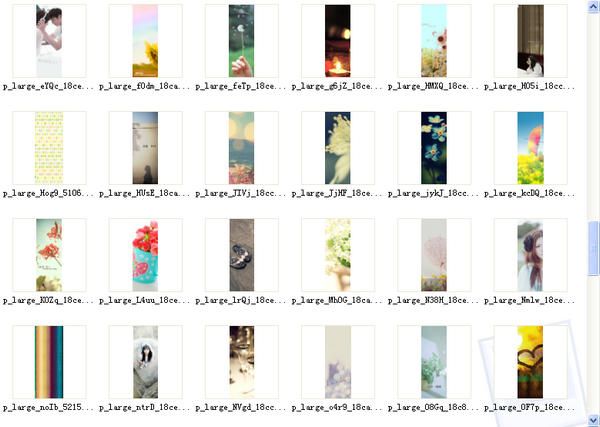 169款QQ2011皮肤合集 免费版 www.qinpinchang.com