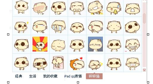 碎碎猫表情包 144P动态 www.qinpinchang.com