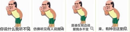 胖虎金馆长QQ表情包 10p www.qinpinchang.com