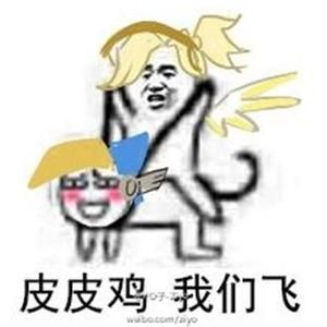 皮皮猪我们走表情包 免费版 www.qinpinchang.com