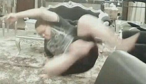 皮皮猪我们走表情包 免费版 www.qinpinchang.com