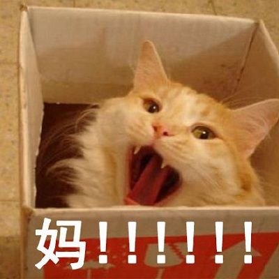 猫喊妈的表情包 高清全套 www.qinpinchang.com