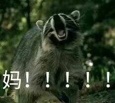 猫喊妈的表情包 高清全套 www.qinpinchang.com