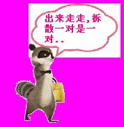 恶搞嚣张浣熊qq表情 免费版 www.qinpinchang.com