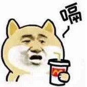 老板来杯可乐表情包 斗图全套 www.qinpinchang.com