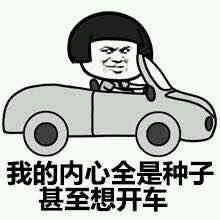 突然开车表情包 秋名山系列 www.qinpinchang.com