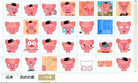 小傻猪表情包 84P www.qinpinchang.com
