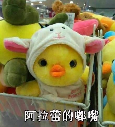 周冬雨的凝视系列表情包 9p www.qinpinchang.com