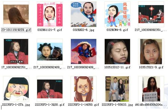 凤姐销魂经典表情(15款) 免费版 www.qinpinchang.com