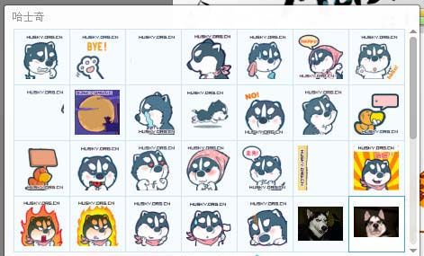 哈士奇qq表情包 官方版 www.qinpinchang.com