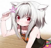 世羽表情包 官方版 www.qinpinchang.com