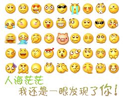 小黄豆表情包 官方版 www.qinpinchang.com