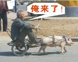 我来了qq表情 1.0 www.qinpinchang.com