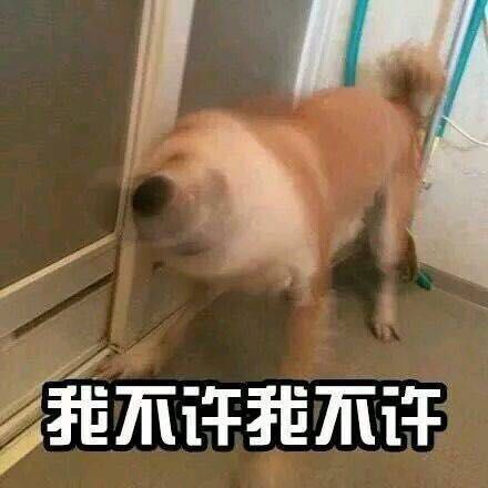 我不听我不听表情 高清全套 www.qinpinchang.com