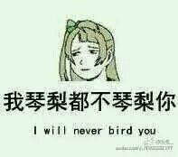 南小鸟qq表情包 全套 www.qinpinchang.com