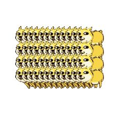 柴犬gif表情包 32p www.qinpinchang.com