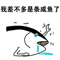 咸鱼表情包 动态 www.qinpinchang.com