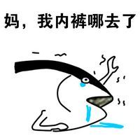 咸鱼表情包 动态 www.qinpinchang.com