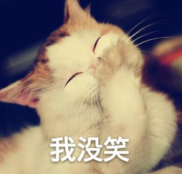 忍住不能笑表情包 高清 www.qinpinchang.com