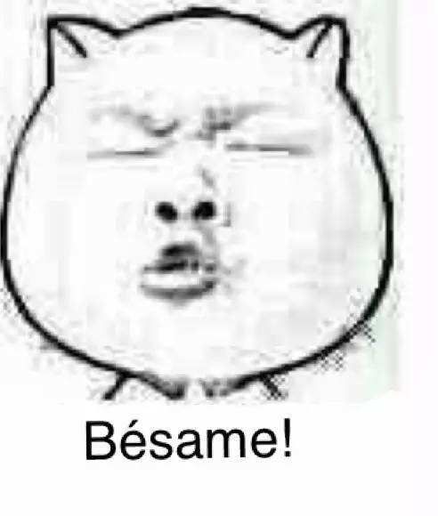 忍住不能笑表情包 高清 www.qinpinchang.com