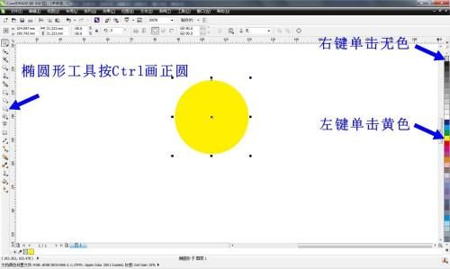 CorelDRAW X6如何绘制小雏菊-绘制小雏菊的方法 www.qinpinchang.com