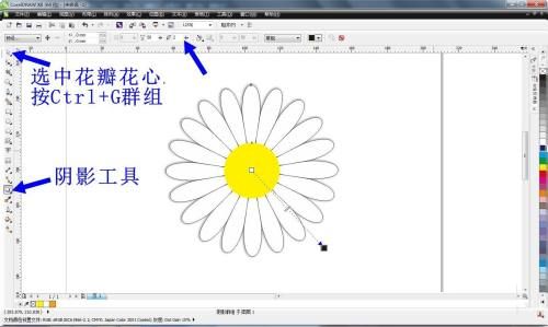CorelDRAW X6如何绘制小雏菊-绘制小雏菊的方法 www.qinpinchang.com