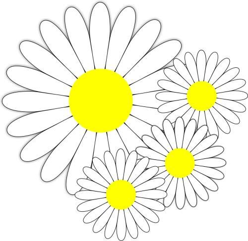 CorelDRAW X6如何绘制小雏菊-绘制小雏菊的方法 www.qinpinchang.com