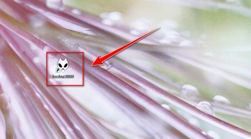 Foobar2000如何查看运行信息-Foobar2000查看运行信息的方法 www.qinpinchang.com