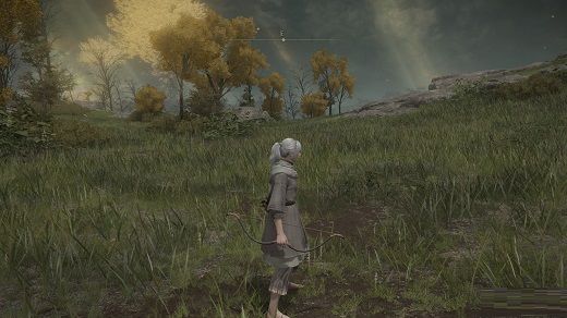 艾尔登法环复合弓怎么获得-艾尔登法环复合弓获得方法 www.qinpinchang.com