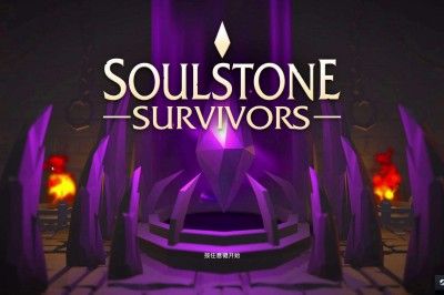 灵魂石幸存者什么职业厉害？ www.qinpinchang.com