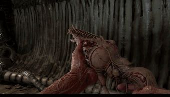 \ 蔑视怎么切换武器? www.qinpinchang.com