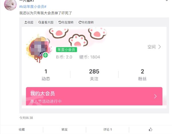 哔哩哔哩年度小会员正式上线 标识变成环保绿 www.qinpinchang.com