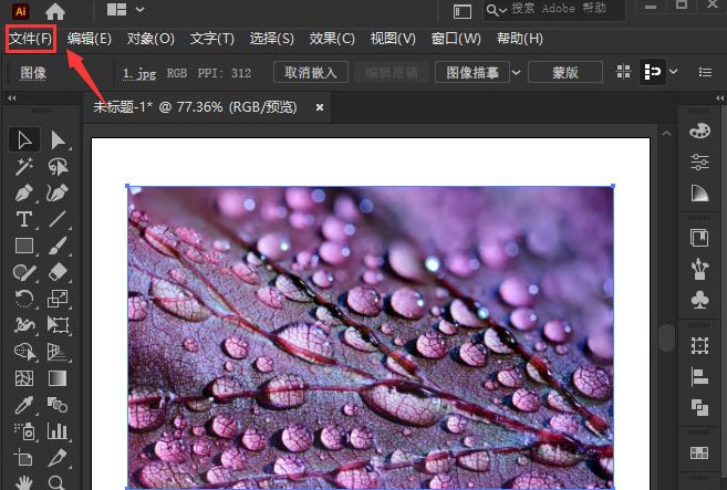 ai怎么制作木刻矢量图-ai制作木刻矢量图的方法 www.qinpinchang.com