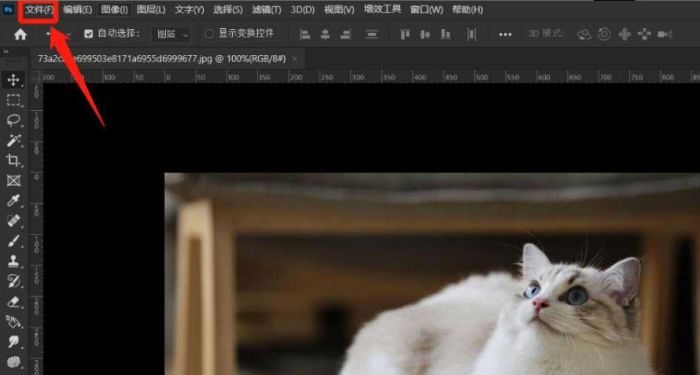 ps如何切换条件模式-ps切换条件模式的操作方法 www.qinpinchang.com
